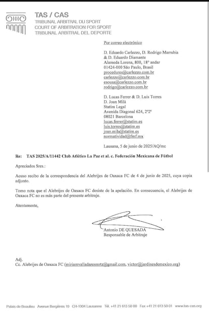Comunicado del TAS, respecto a la situación de los Alebrijes de Oaxaca - Foto: Especial