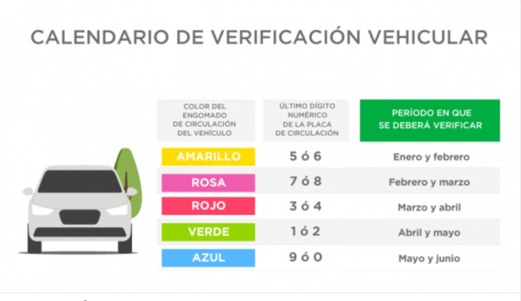 ¿Cuáles son las multas si no verifico mi auto?