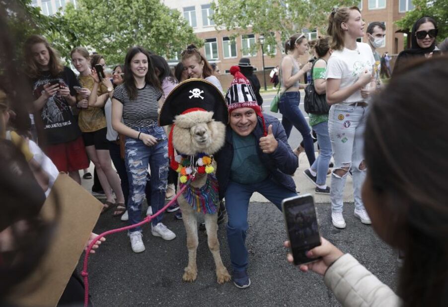 Fotos: Las muestras de cariño a Johnny Depp de sus fans durante el juicio contra Amber Heard
