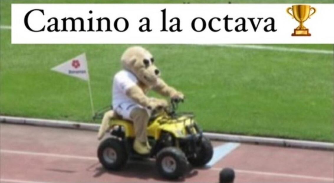 Pumas Memes