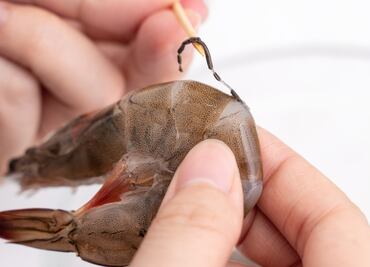 Con microscopio tiktoker revela qué hay en la “vena negra” del camarón