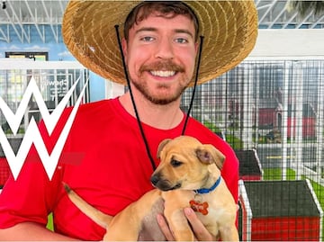 Luchador de la WWE se suma a Mr. Beast para rescatar perros y apoyar la adopción