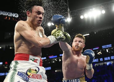 JC Chávez Jr. elogió la carrera de Saúl 'Canelo' Álvarez: “Es el mejor, un gran boxeador”