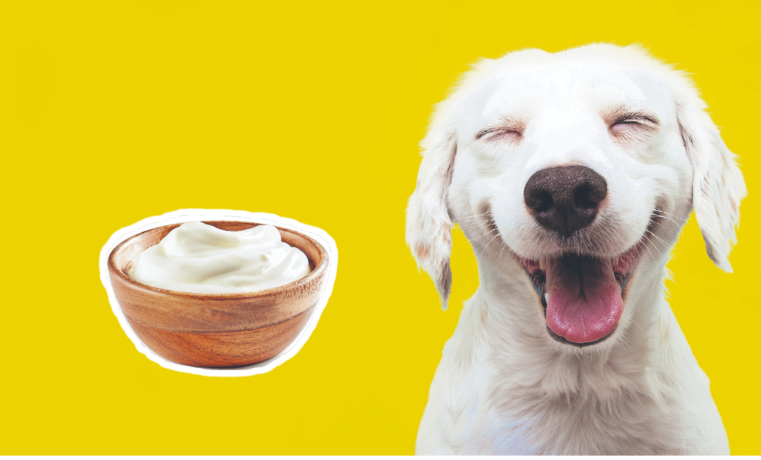 Foto: iStock