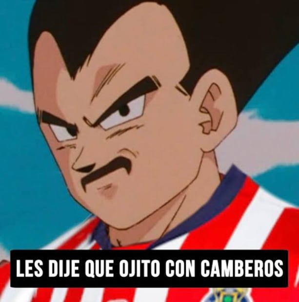 Selección Mexicana MEMES