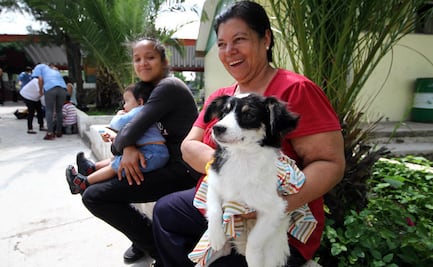 Si conoces a alguien que rescata perros, NO le digas estas 10 cosas