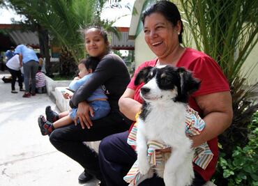 Si conoces a alguien que rescata perros, NO le digas estas 10 cosas