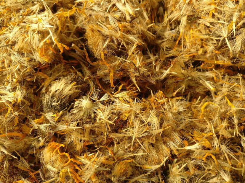 10 propiedades y beneficios de la planta árnica