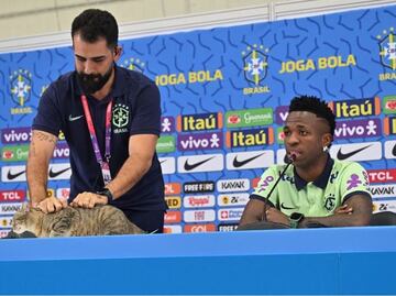 Brasil y la "Maldición del Gato": Los fatídicos acontecimientos que ha vivido la Selección desde hace un año