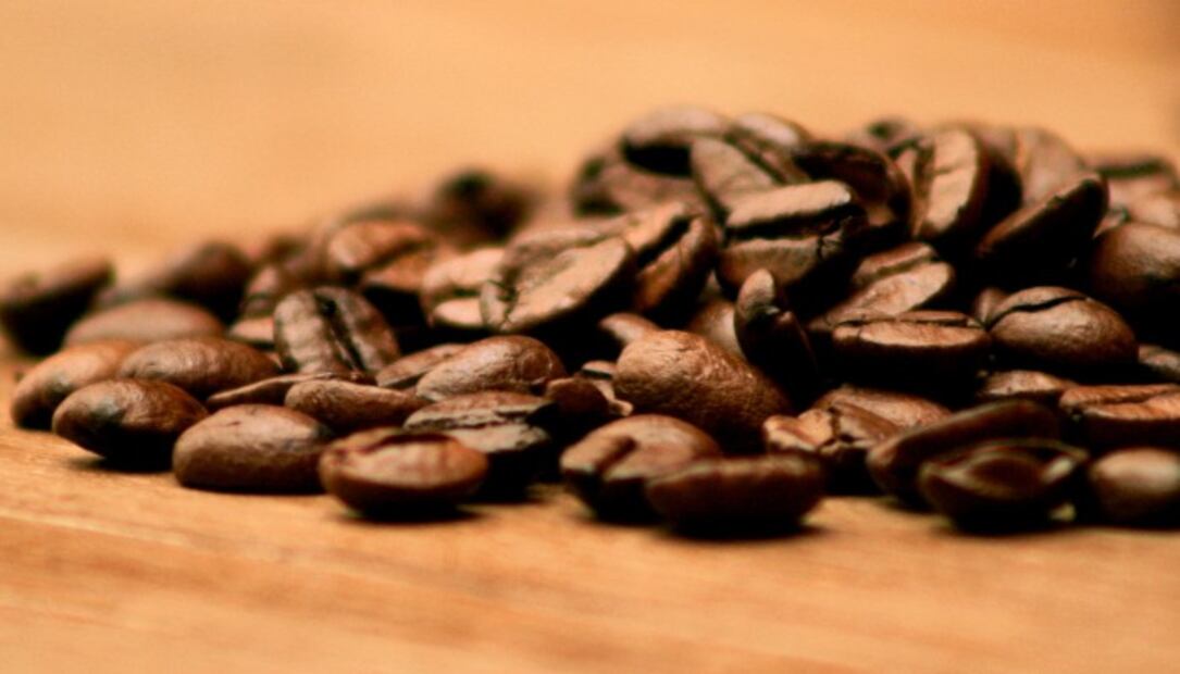 Café geisha, el grano más caro del mundo