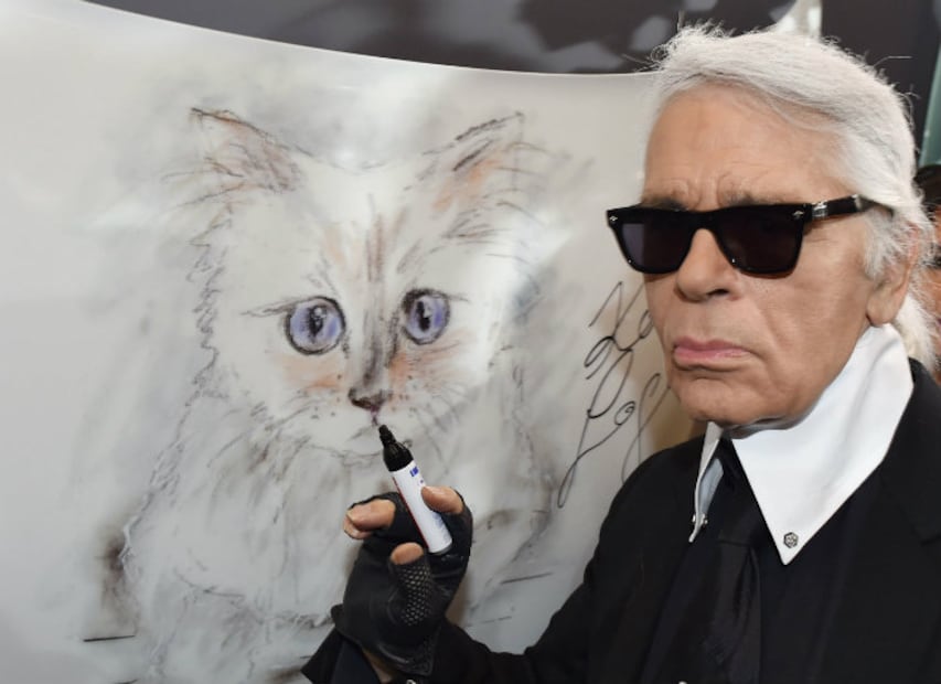¡Son millonarios! Los 5 gatos más ricos del mundo