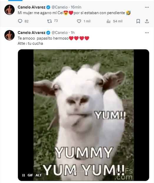 El Canelo Álvarez aclaró que la curiosa publicación en X fue obra de su esposa. Foto: Especial