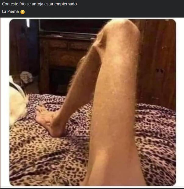 Los 10 memes más divertidos sobre el frío en este 2022