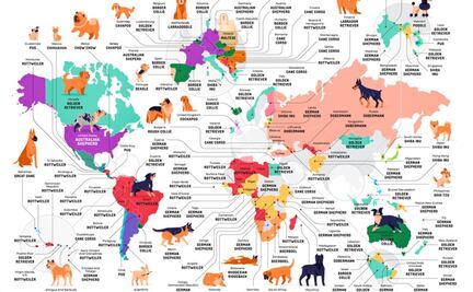 Estas son las razas de perros más populares en cada país del mundo