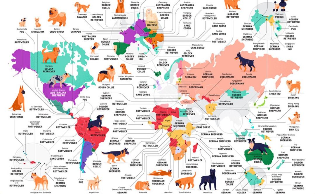 Foto: ​HouseholdQuotes.co.uk