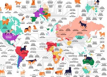 Estas son las razas de perros más populares en cada país del mundo
