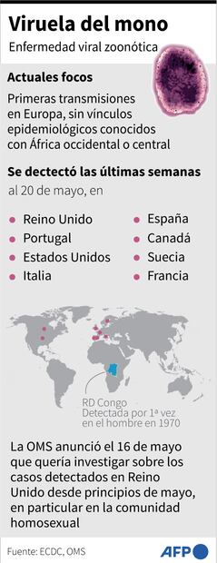 Riesgo de contagio de la viruela del mono es "muy bajo", según autoridades sanitarias