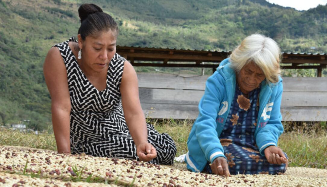 10 mexicanos que han hecho cosas chingonas en este 2018