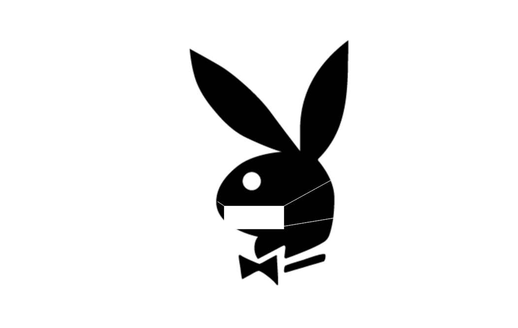 Foto: Facebook Playboy