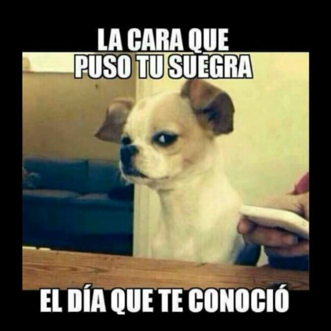 Día de la Suegra: Los 10 mejores memes para dedicarle en su día