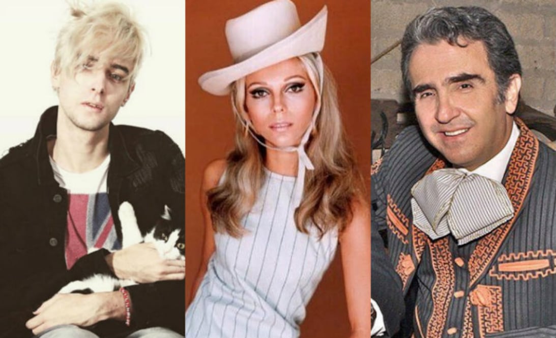 Fotos: Instagram @vanity.sex/@nancysinatra/@_vicentefdez