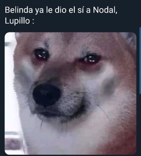 Los 10 mejores memes del compromiso de Belinda y Christian Nodal