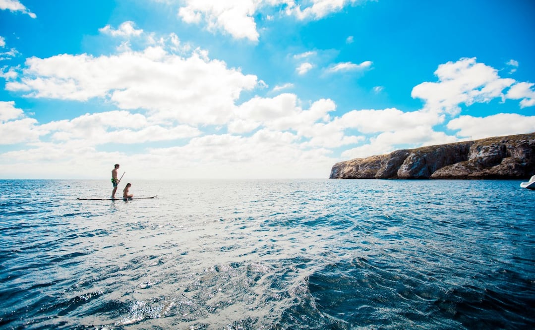 Foto de Jebus Media - Jesús Eduardo De los Santos Mendoza