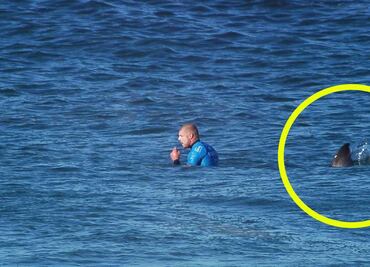 Video: Surfista se salva de un ataque de tiburón en plena competencia
