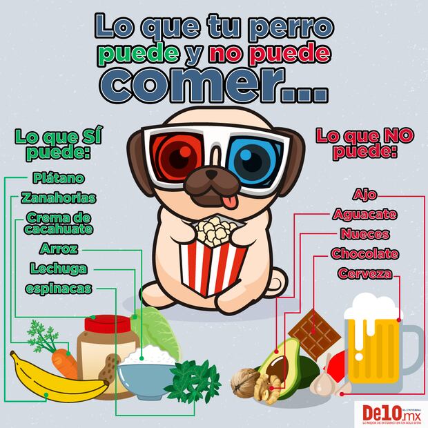 Las mascotas con dueños “gorditos” también son “gorditas”