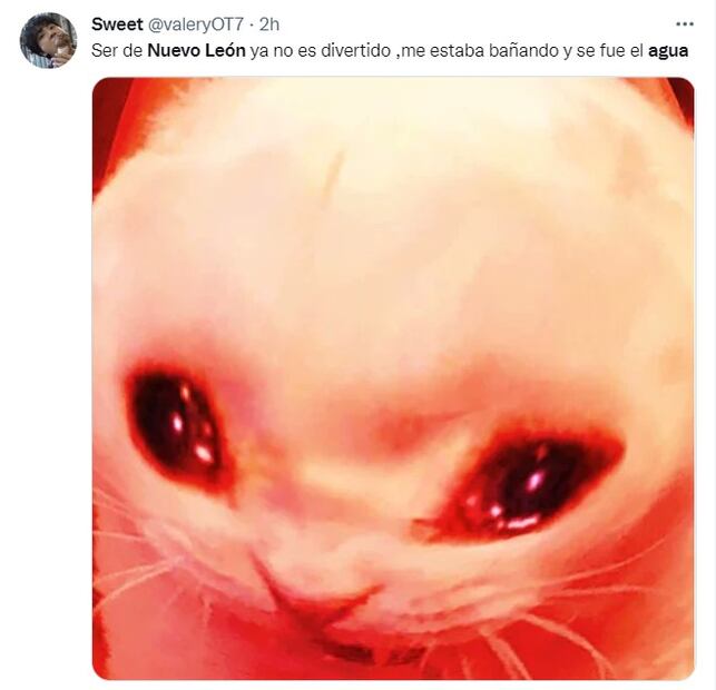 ¡No hay agua en Nuevo León! Estos 10 memes representan el enojo de la población