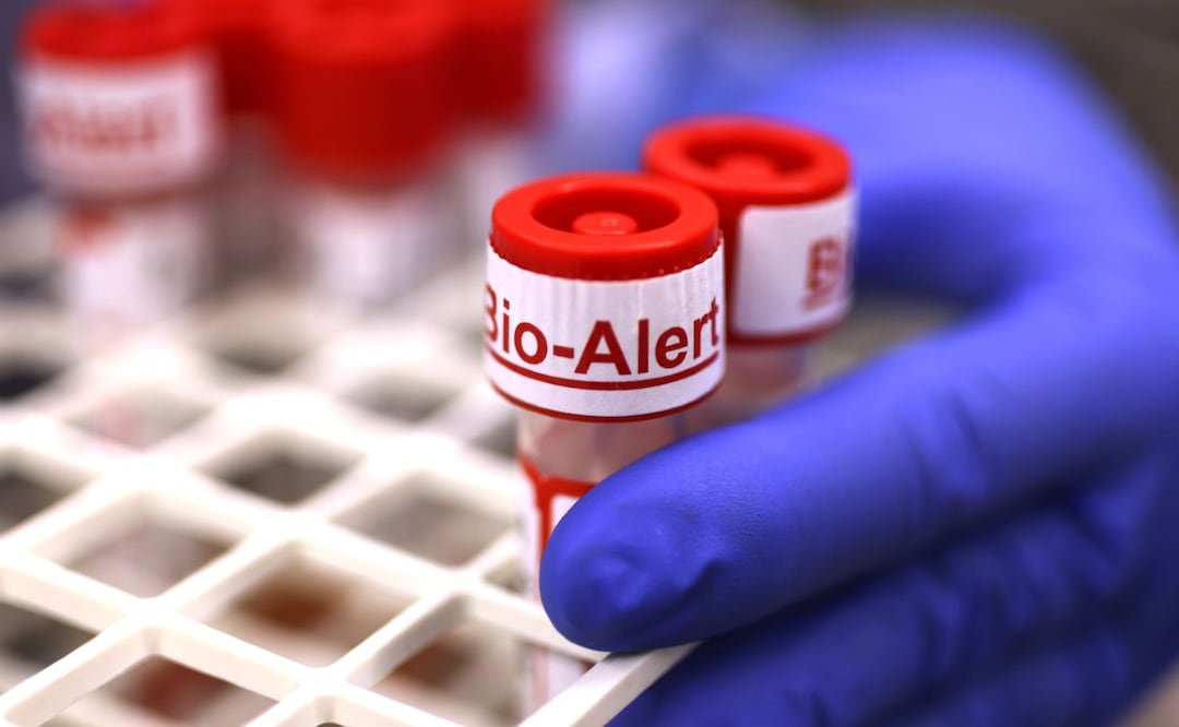 Foto: Karen Ducey/AFP