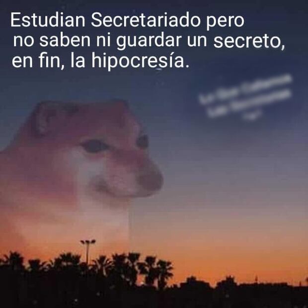 Los 10 mejores memes para celebrar el Día de la Secretaria