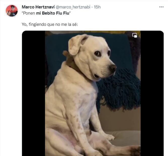 El origen de “Mi bebito fiu fiu”, el plagio y los memes que no te puedes perder