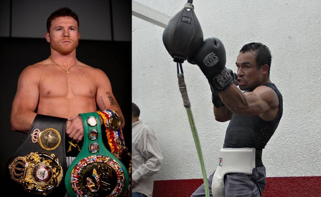 Juan Manuel Márquez volvió a criticar al Canelo Álvarez por no pelear con David Benavidez. Foto: Especial