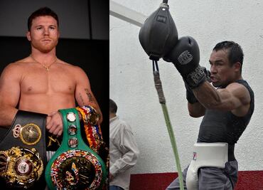 Juan Manuel Márquez pide que le quiten un cinturón de campeón al Canelo Álvarez: 'Hace lo que quiere'