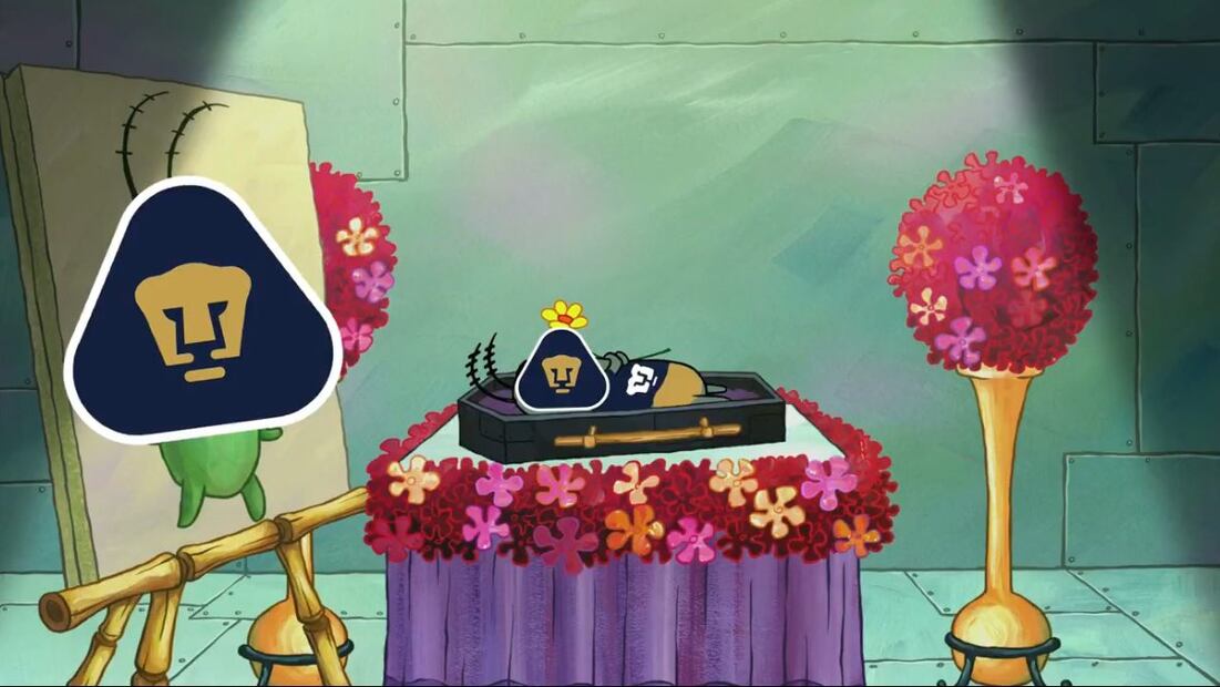 Pumas MEMES