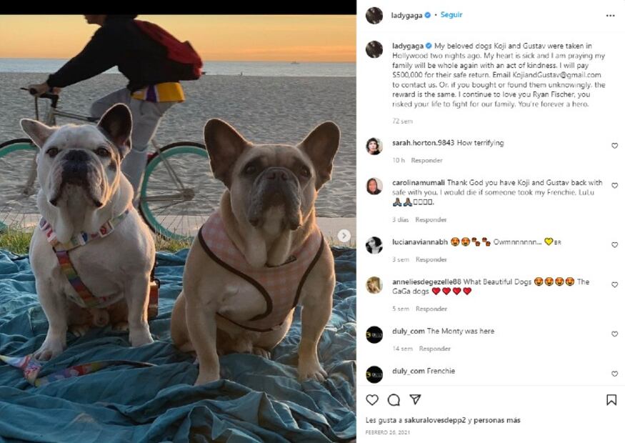 $$ Recompensa por hombre que disparó al paseador de perros de Lady Gaga $$