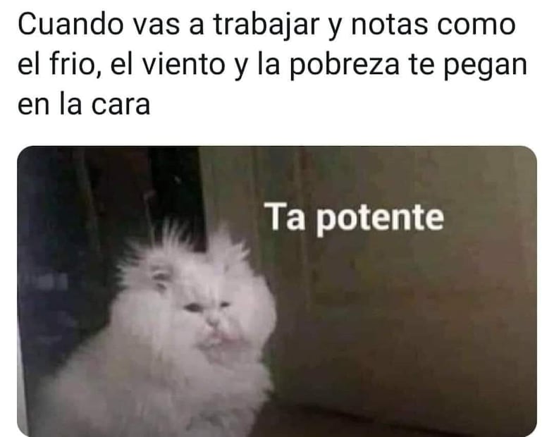 Los 10 memes más divertidos sobre el frío en este 2022
