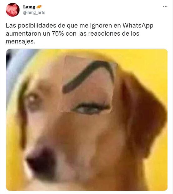Los 10 mejores memes de las nuevas reacciones en WhatsApp