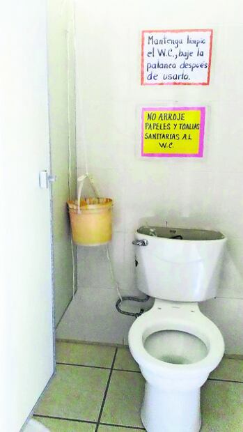 ¿Pones papel en el asiento del baño? ¡Gran error! 