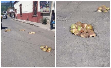 ¡Ni la NASA! Pobladores tapan los baches con ¡COCOS! en Nayarit