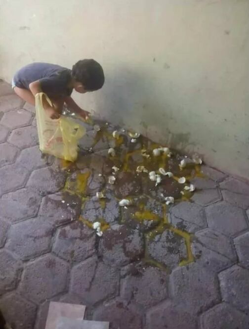 Foto: Tomada de Internet