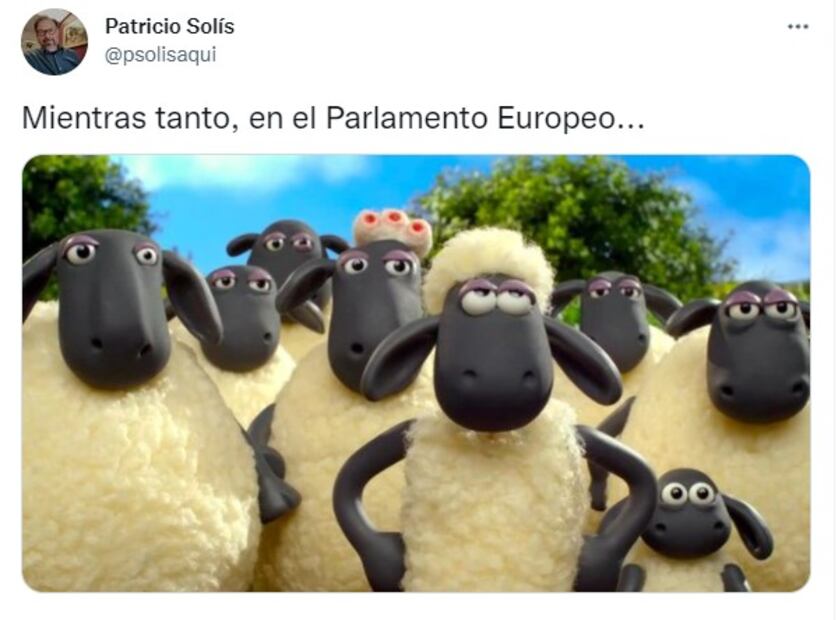Los 10 mejores memes de la respuesta de AMLO al Parlamento Europeo