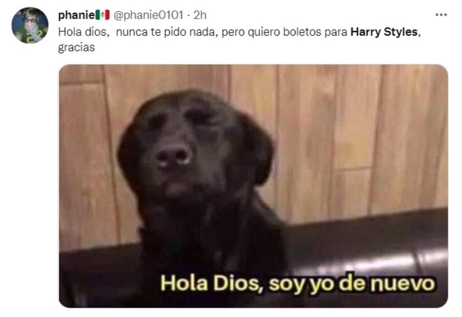 Los 10 mejores memes de la gira de Harry Styles por Latinoamérica en 2022