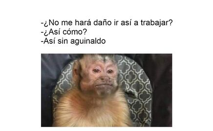 10 memes del tan esperado aguinaldo 2021 que nos representan