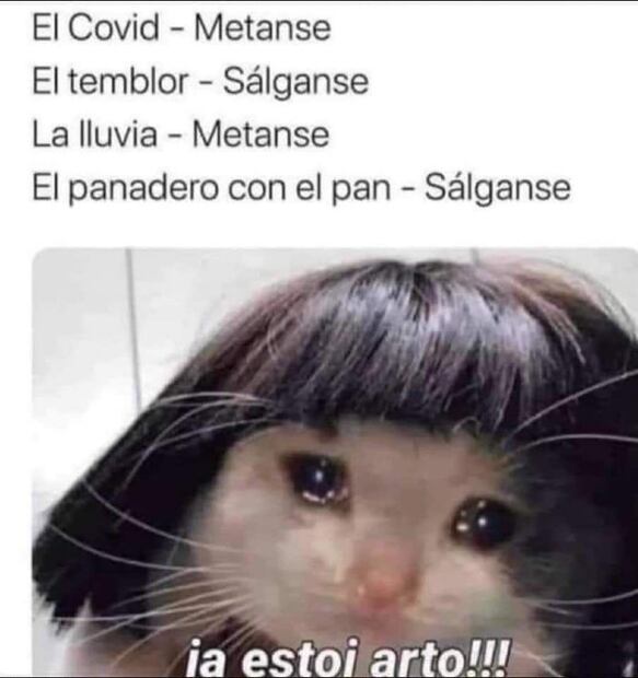 Los 10 mejores MEMES que dejó el sismo del 7 de septiembre de 2021