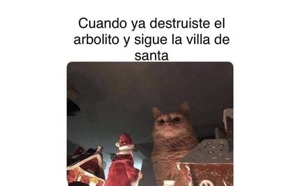 Los 10 mejores memes de Gatos Vs. Árboles de Navidad