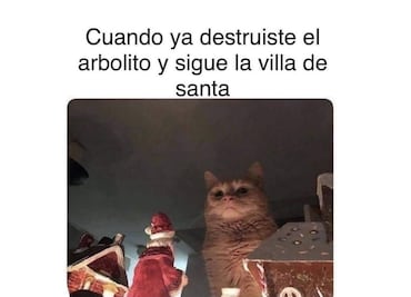 Los 10 mejores memes de Gatos Vs. Árboles de Navidad