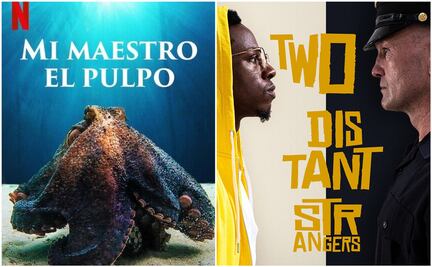 Los 5 cortos y documentales ganadores de los Óscar 2021 que hay que ver