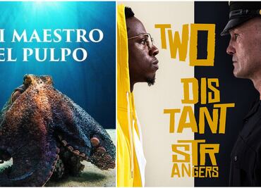 Los 5 cortos y documentales ganadores de los Óscar 2021 que hay que ver